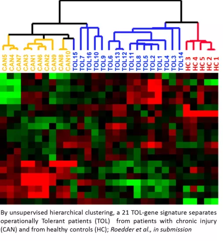 Hierarhical-Clustering-TOL