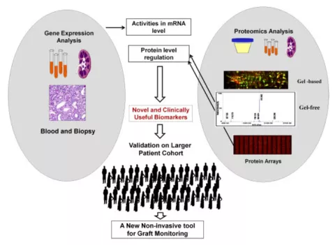 need-for-personalized-medicine